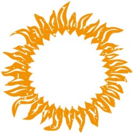 Zeichnung Sonnenblume