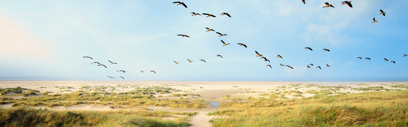 hansa-klima-karriere-ausbildung